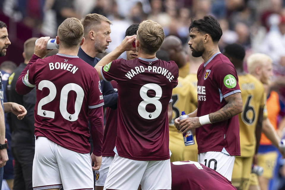 Wynn Sports2025年移动端下载量增长50%